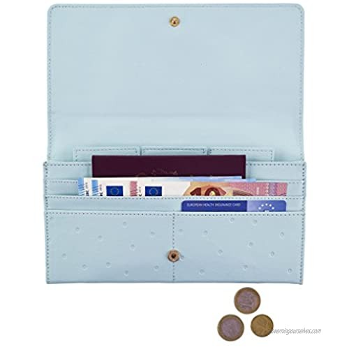 Busy B Travel Purse for Passport/Documents