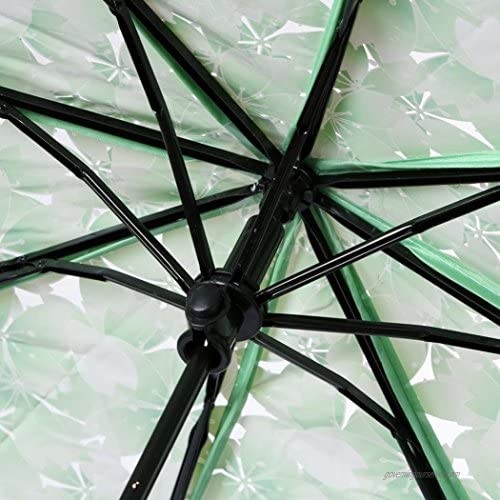 WerFamily Cherry Blossom Transparent Folding Travel Umbrella