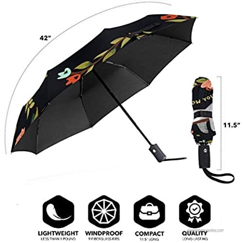 Windproof Umbrella Travel Auto Open/Close Waterproof Portable Umbrella with Ergonomic Handle 8 fiberglass Ribs-Follow Your Dreams