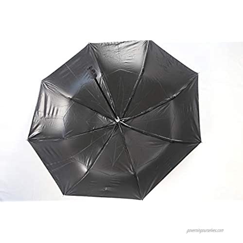 Wonderful Life Umbrella Outdoor Windproof Travel Compact Umbrella Anti UV Sun/Rain Folding Plaid Umbrella Manual Opens/Closes for Men Women Kids Umbrella (White)