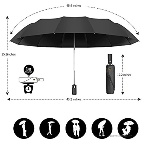 Umbrella Windproof with12 Fiberglass Ribs-Travel Compact Umbrella with Auto Open/Close for Men&Women Ruxy Humy