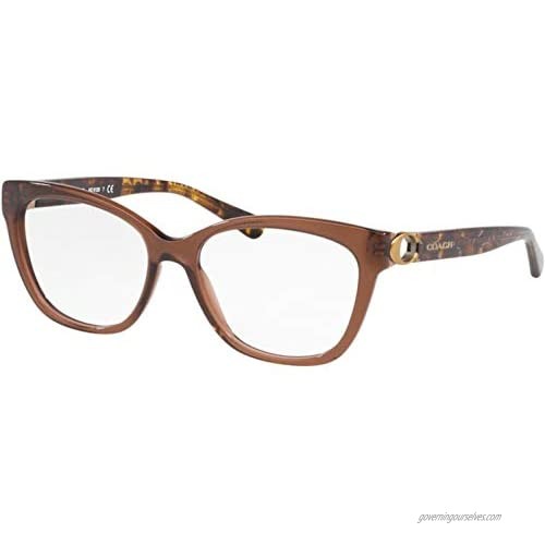 Eyeglasses Coach HC 6120 5035 Transparent Brown  54/16/140