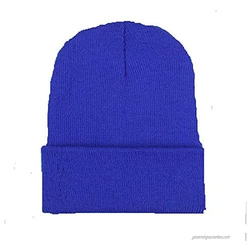 Shuiniba Warm Winter Hat Knit Plain Skull Beanie Toboggan Knit Hat for Men and Women (Blue)